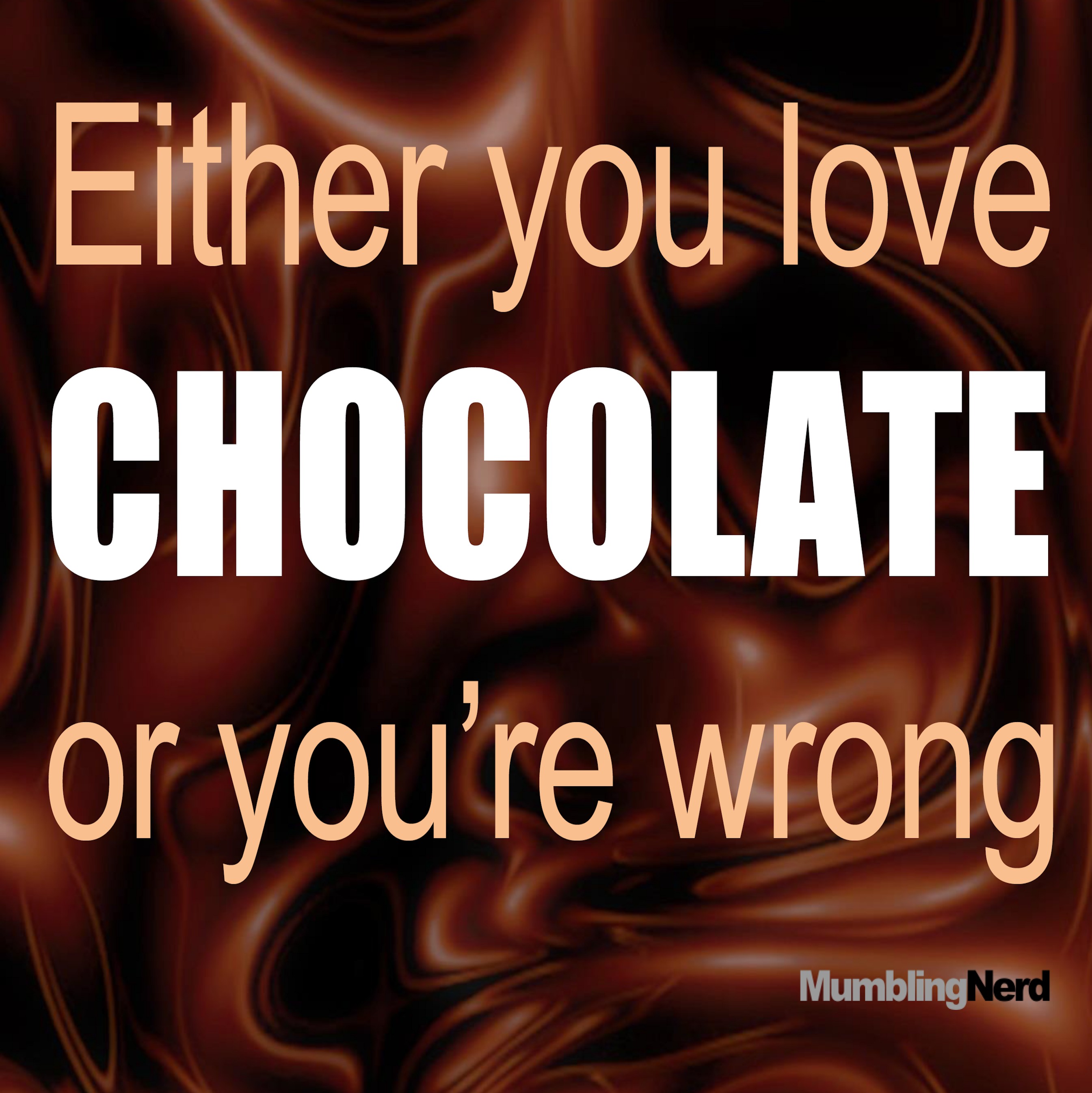 Either you love chocolate or you re wrong “